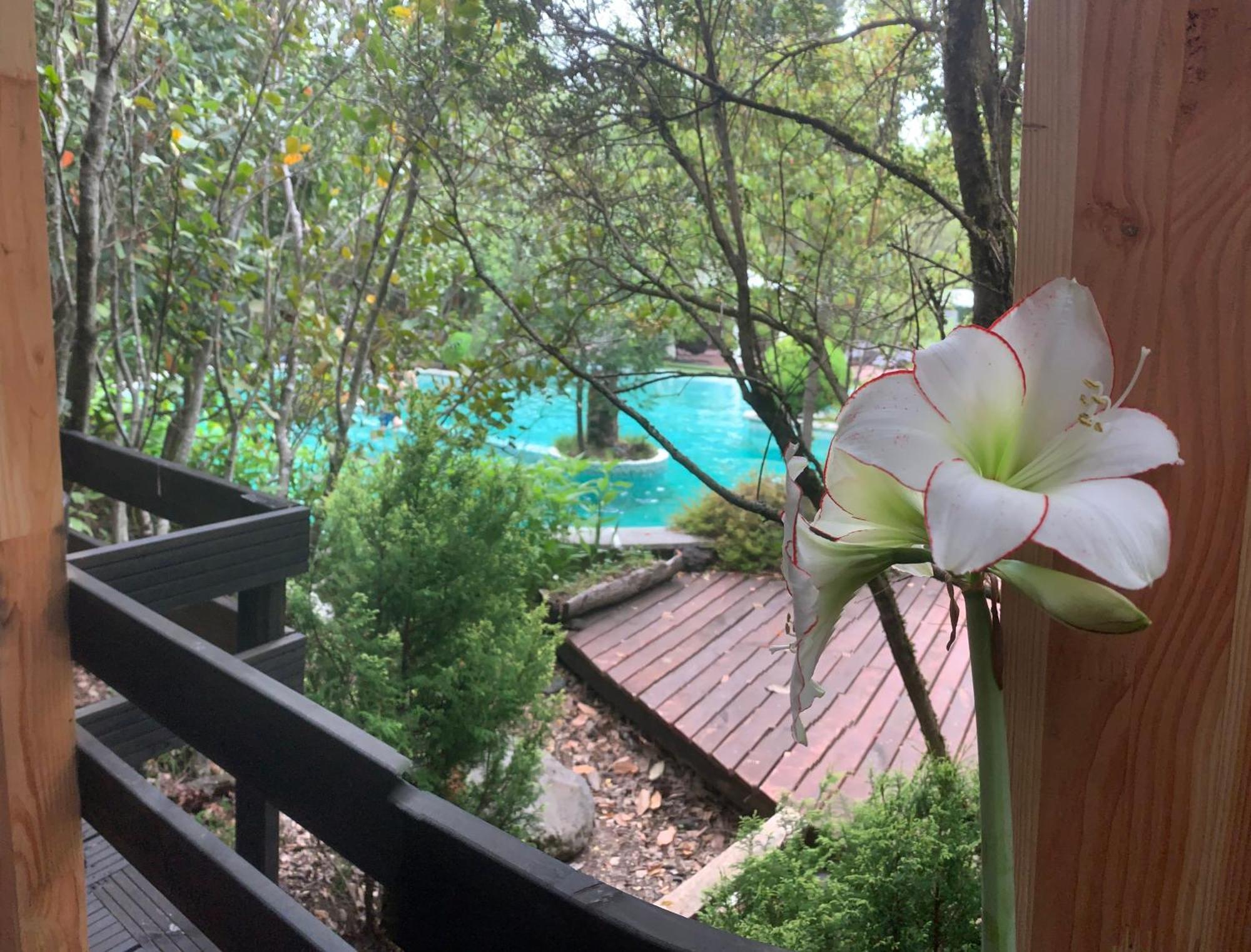 Cabanas Natural Park Lodge Pucón Dış mekan fotoğraf