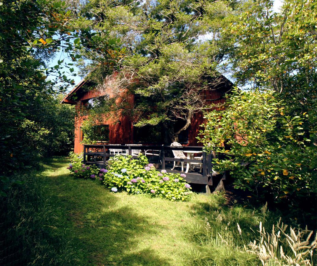 Cabanas Natural Park Lodge Pucón Dış mekan fotoğraf
